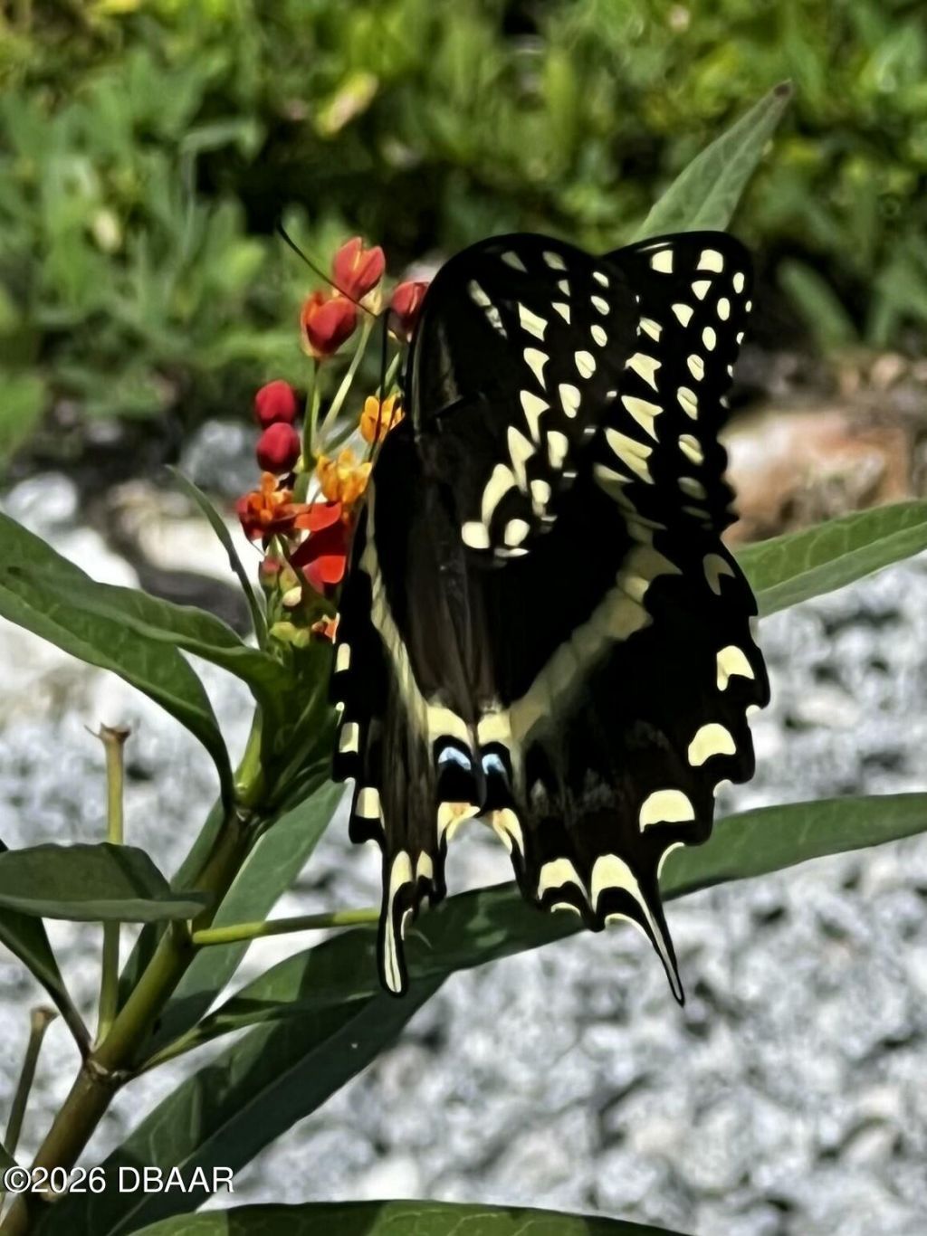 615 Art Center Avenue, New Smyrna Beach, FL 32168 Photo