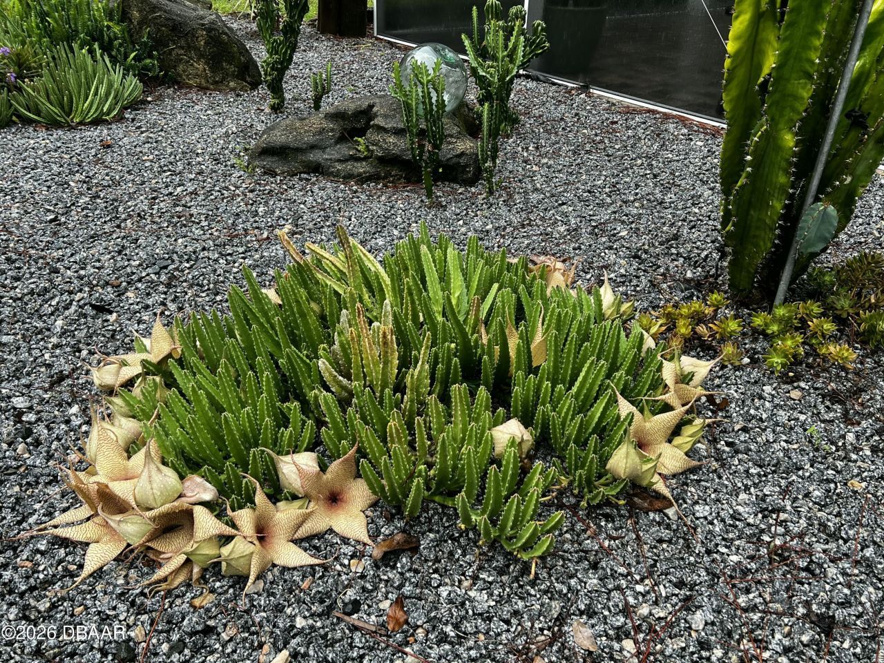 615 Art Center Avenue, New Smyrna Beach, FL 32168 Photo