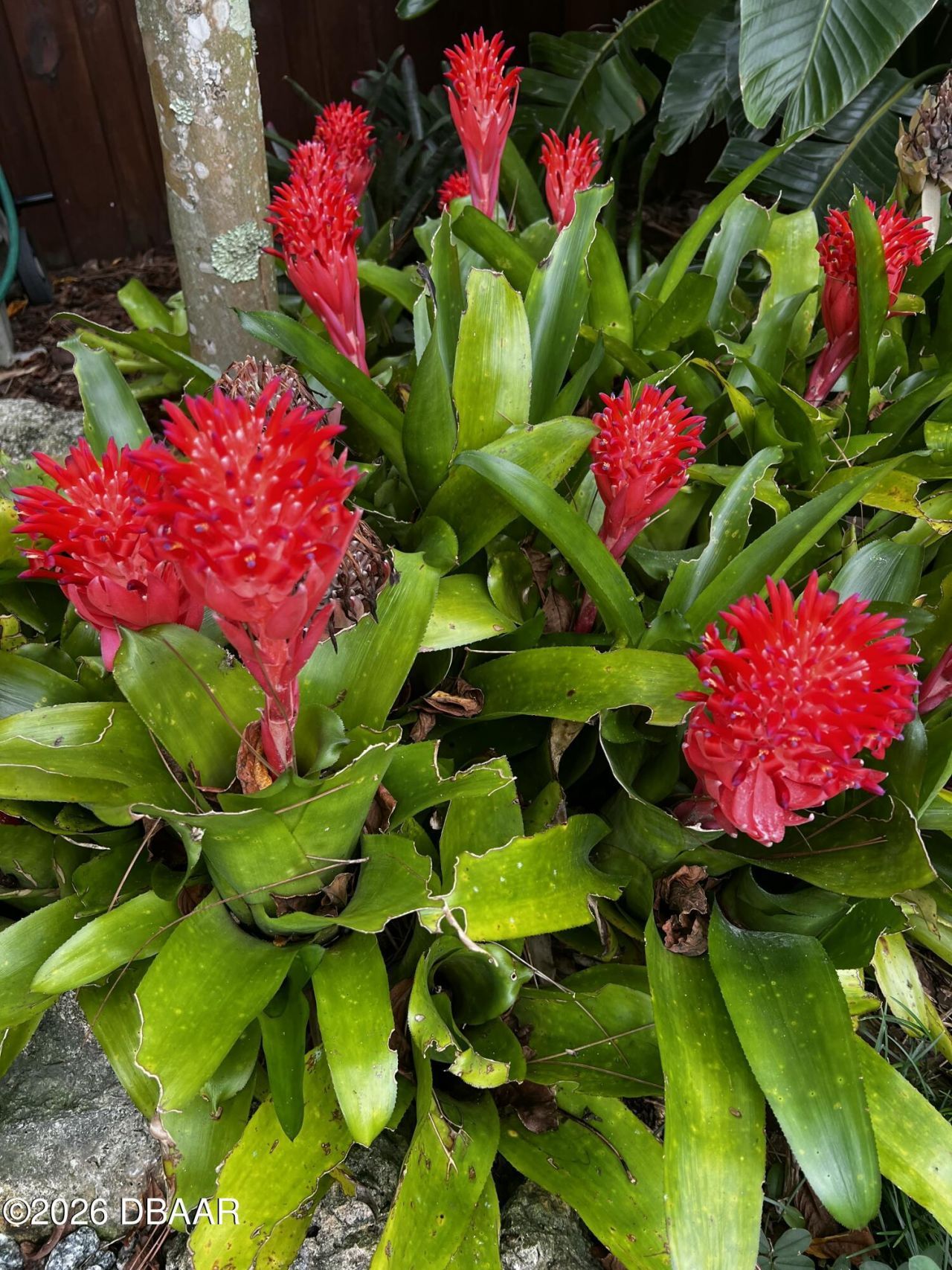 615 Art Center Avenue, New Smyrna Beach, FL 32168 Photo