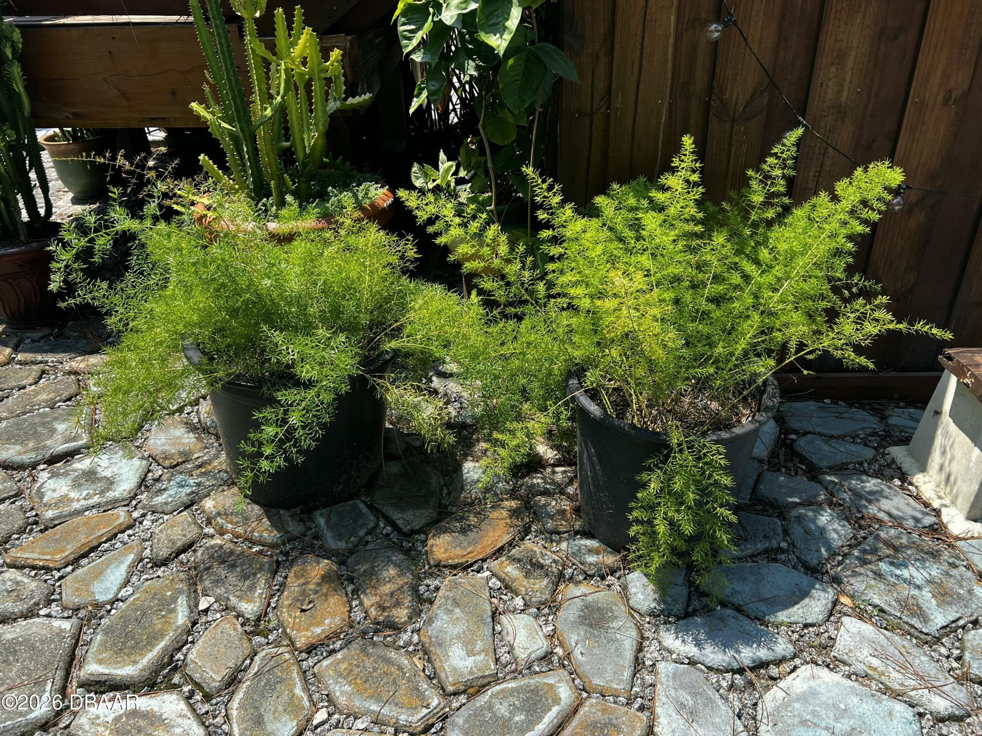 615 Art Center Avenue, New Smyrna Beach, FL 32168 Photo