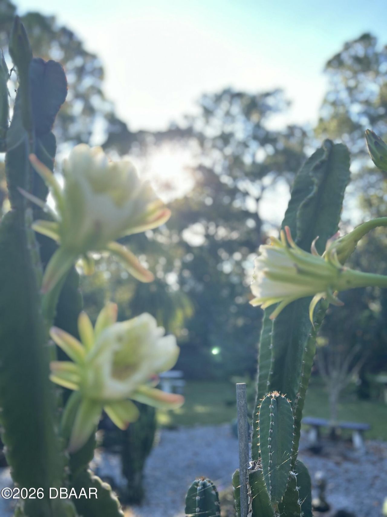 615 Art Center Avenue, New Smyrna Beach, FL 32168 Photo