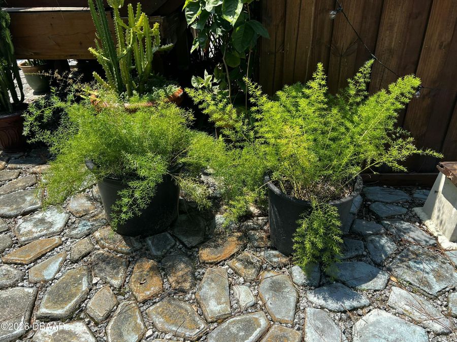 Property Image 95