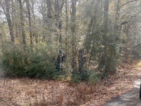 40 Acres JOINER-WYMER Road, Covington, LA 70433