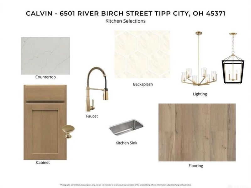 6501 River Birch Street, Tipp City, OH 45371 Photo 3