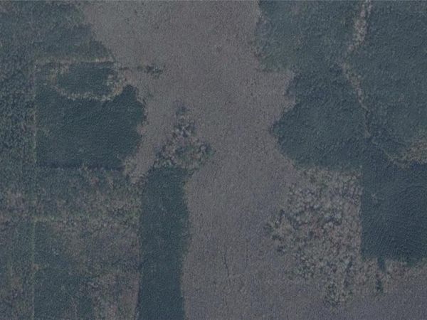 SEC 15 T1S R1W, Forest Hill, LA 71430