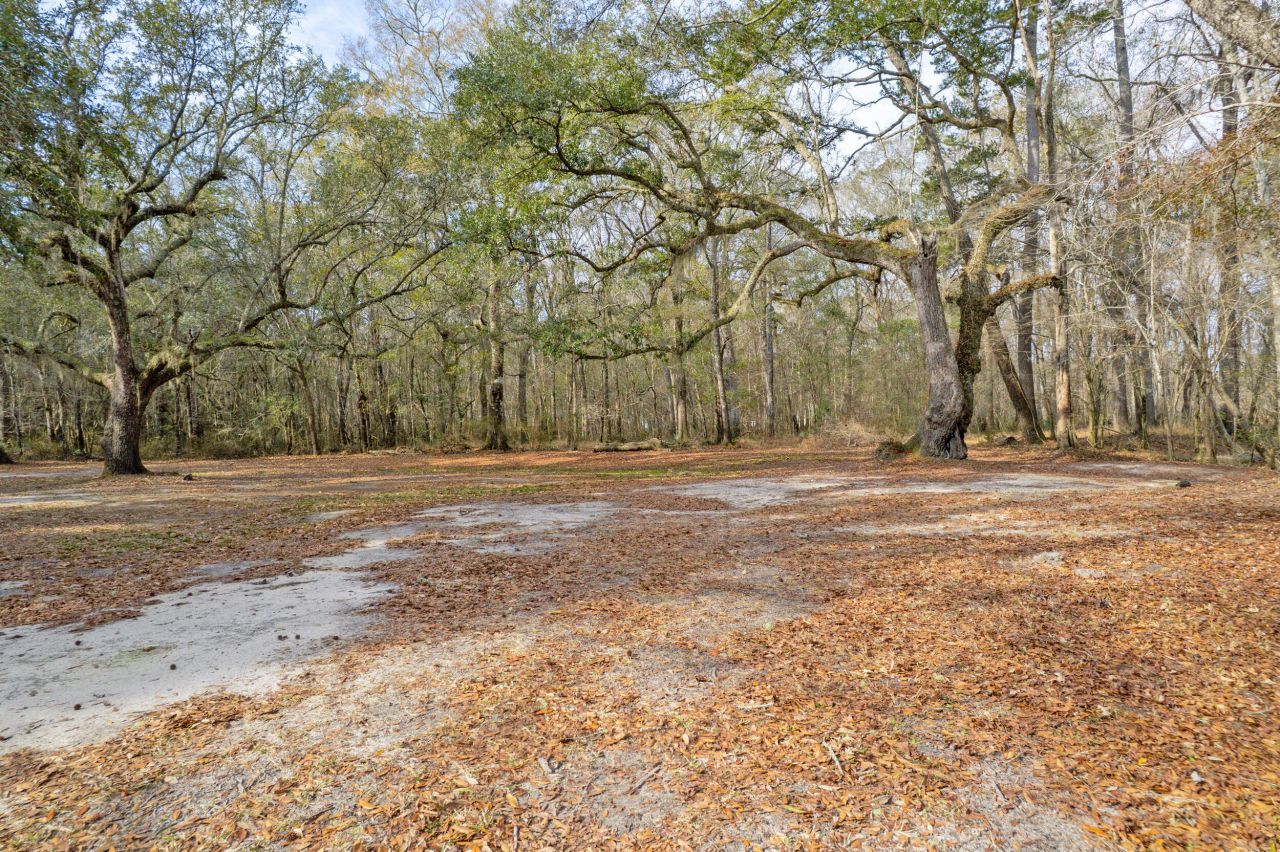 519 Meeting House Lane Photo 12