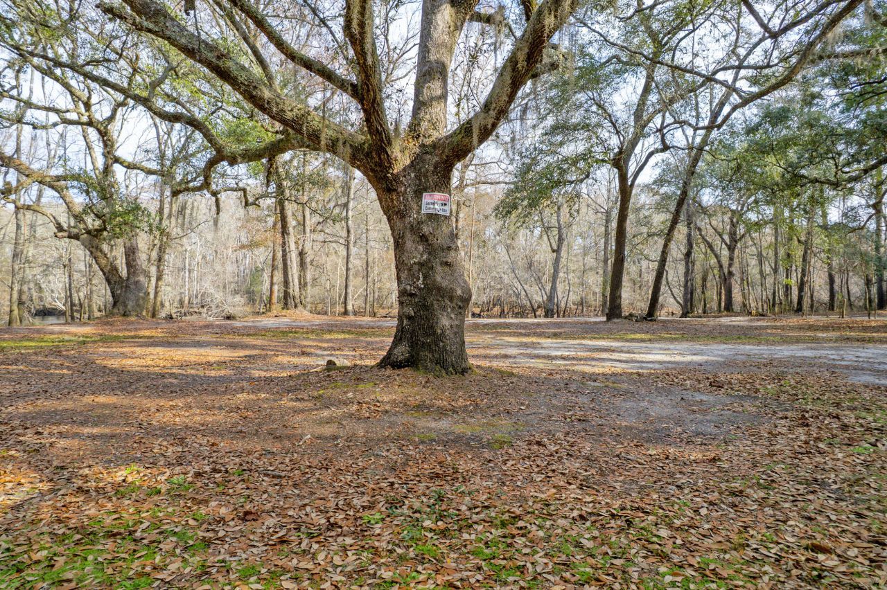 519 Meeting House Lane Photo 14