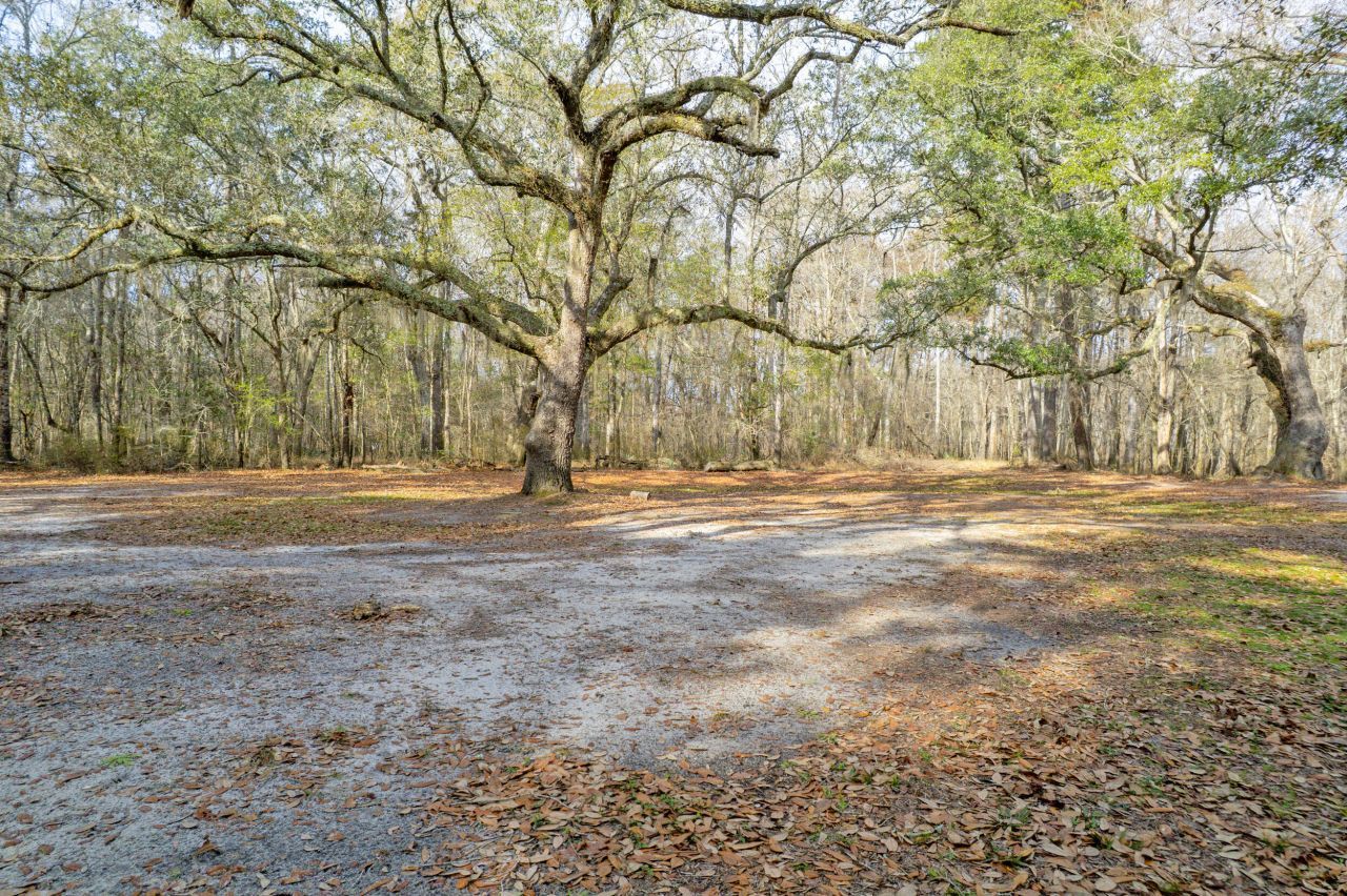 519 Meeting House Lane Photo 15