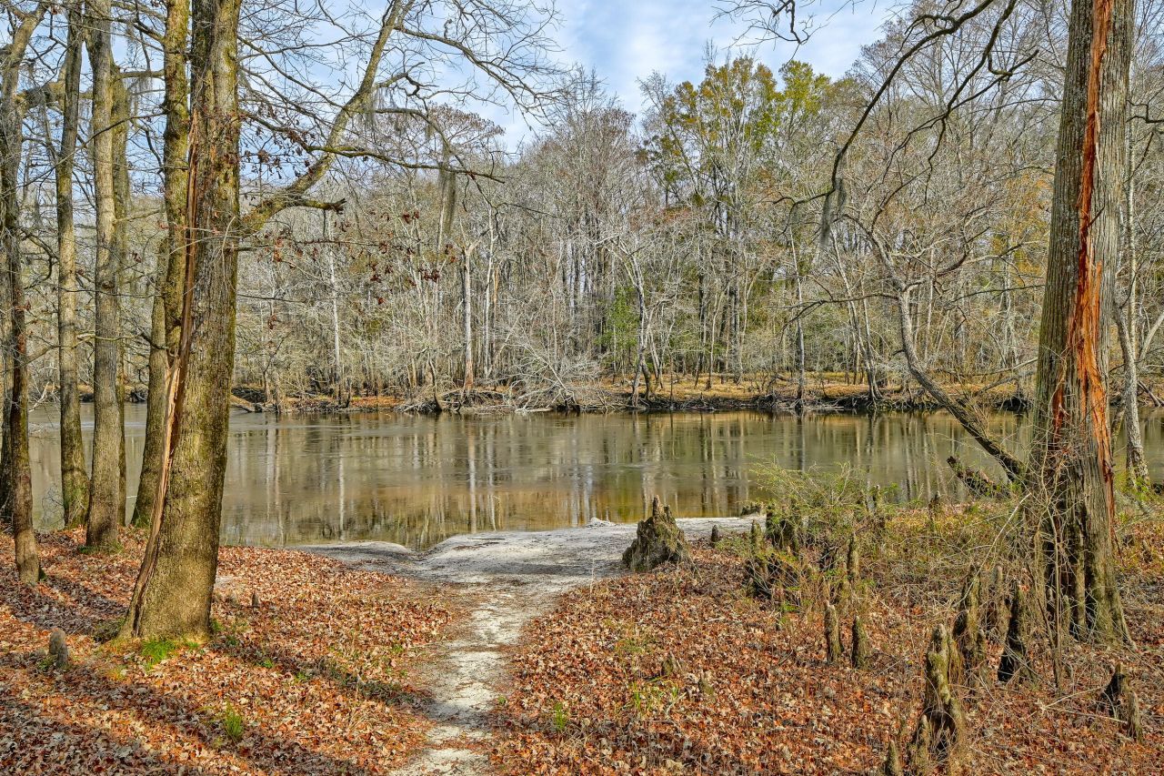 519 Meeting House Lane Photo 6