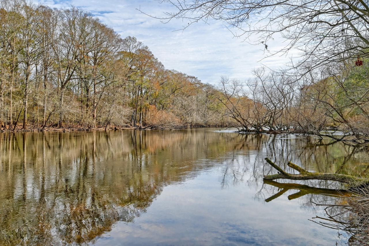 519 Meeting House Lane Photo 7