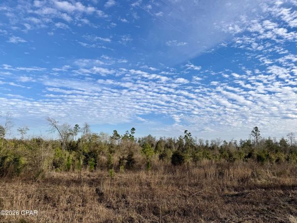 25 acres Davenport Road, Marianna, FL 32448