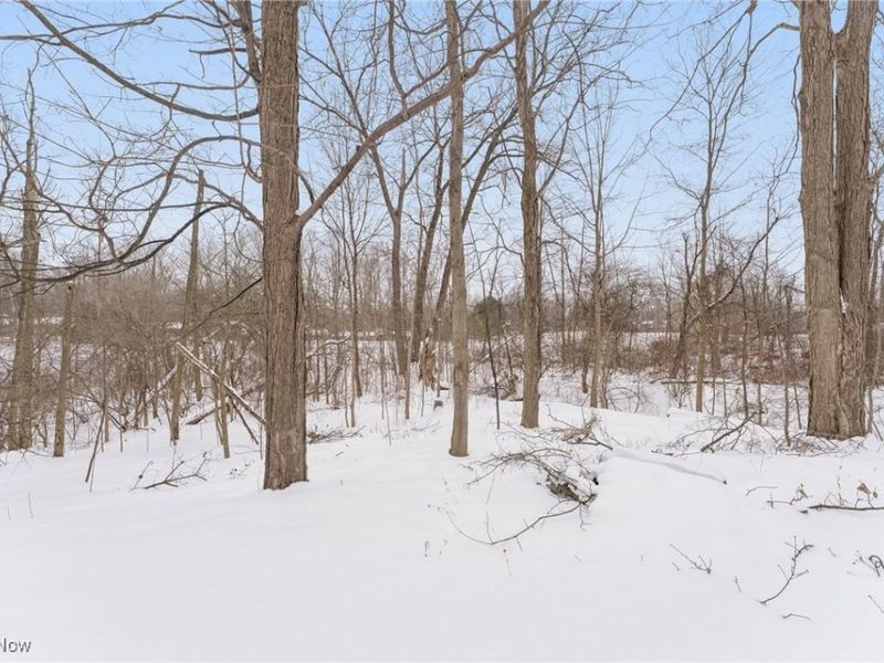 604 W Acadia Point, Aurora, OH 44202 Photo 46