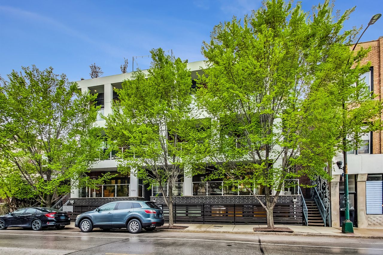 1046 N Damen Avenue, Unit 1N, Chicago, IL 60622 Main Photo