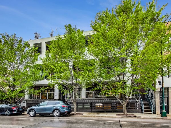 1046 N Damen Avenue, Unit 1N, Chicago, IL 60622