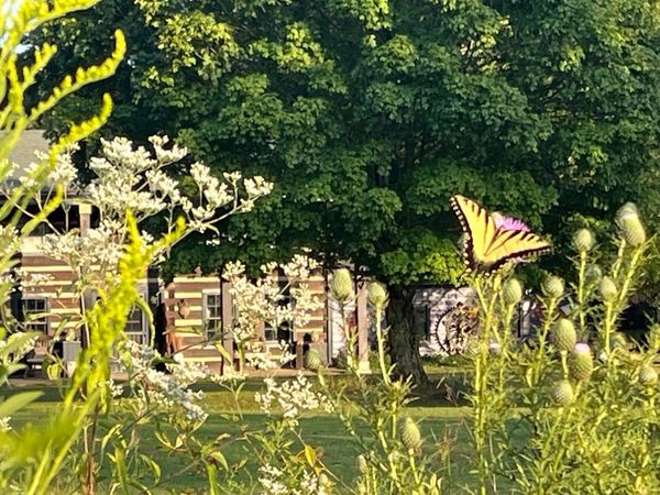 7139 Kingston Rd, Fairview, TN 37062