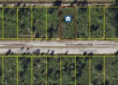 0 Palm Avenue, Indian Lake Estates, FL 33855 Main Photo