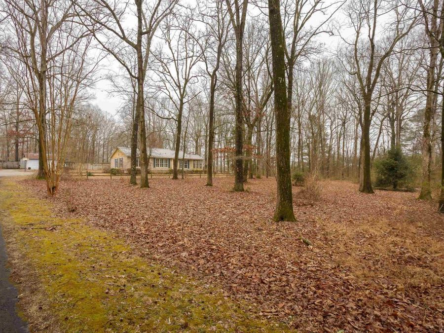 Property Image 4