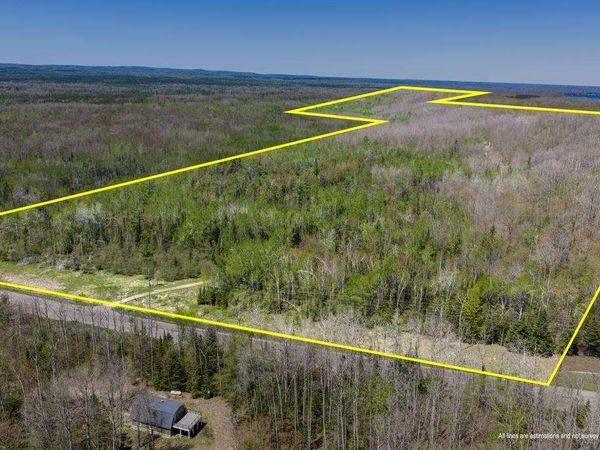 8959 E Robinson Road, Pellston, MI 49769