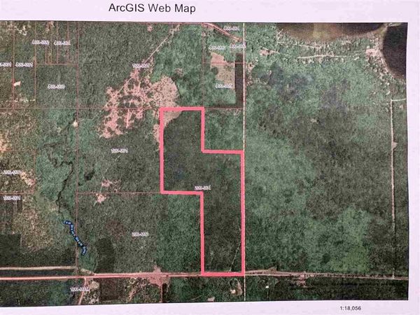 8959 E Robinson Road, Pellston, MI 49769