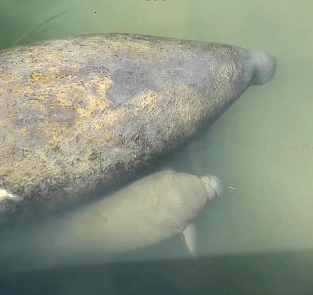 3784 42nd Avenue S, Saint Petersburg, FL 33711 Photo