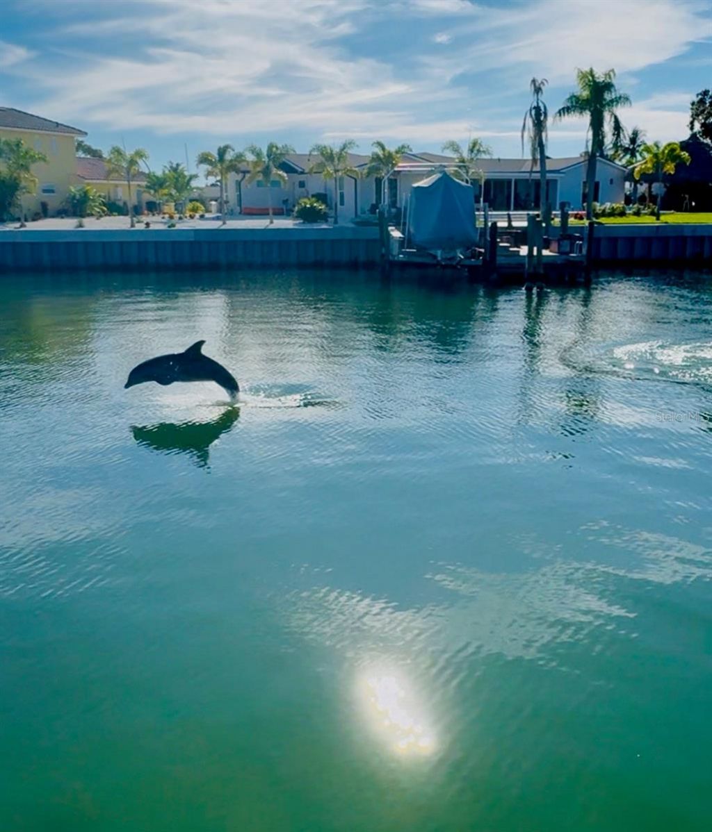 3784 42nd Avenue S, Saint Petersburg, FL 33711 Photo