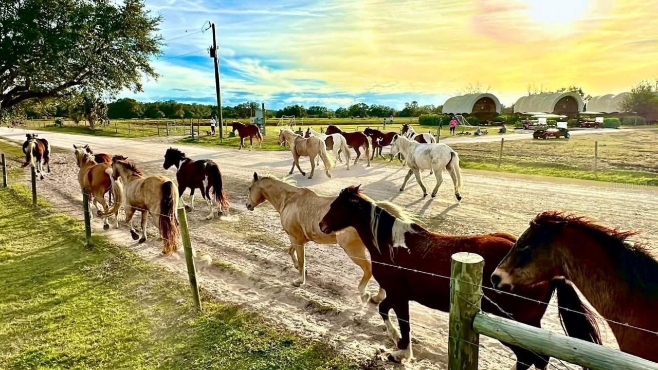 359 Possum Path, River Ranch, FL 33867 Photo