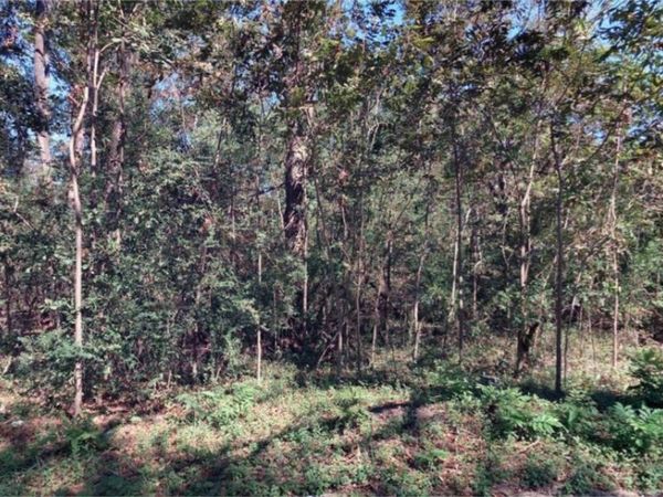 156 Darling Street, Savannah, GA 31408