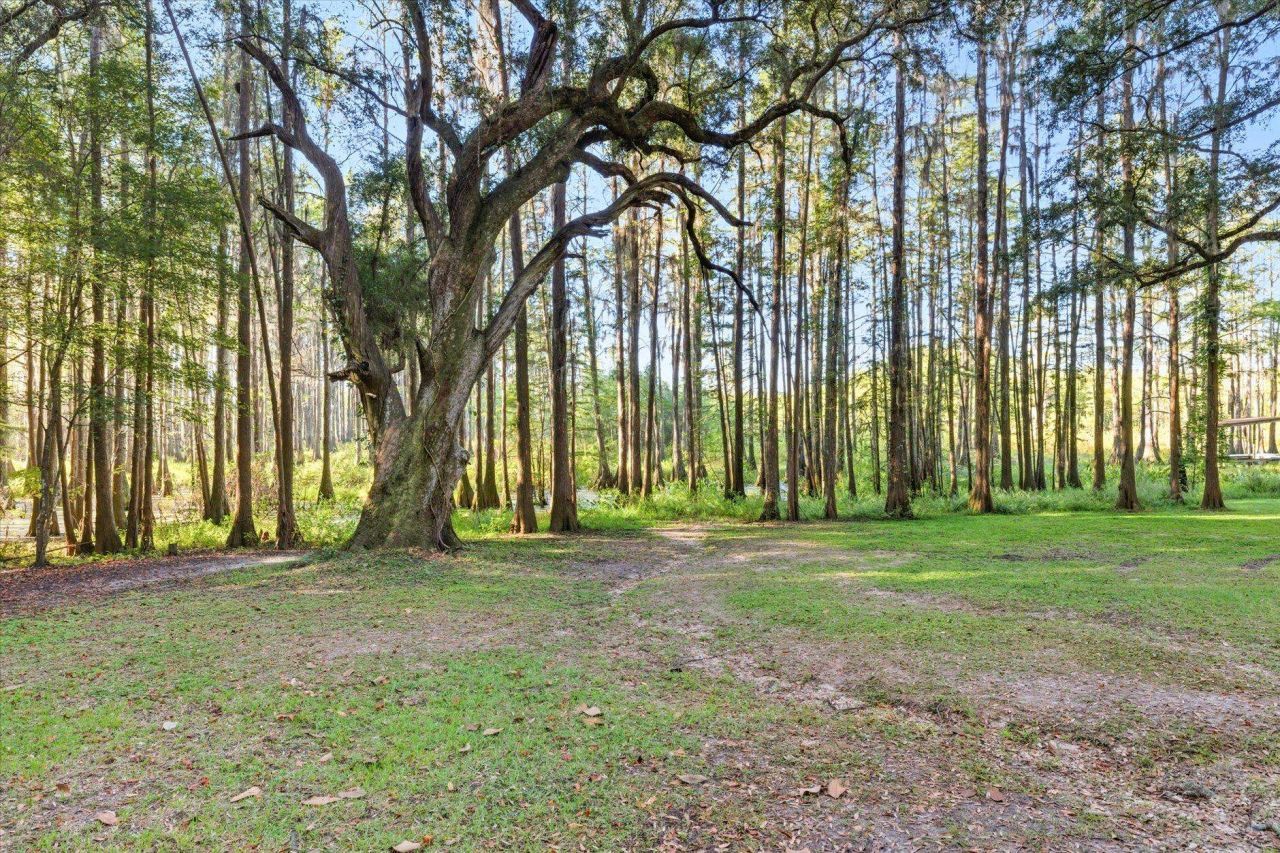7737 Deepwood Trail, Tallahassee, FL 32317 Photo