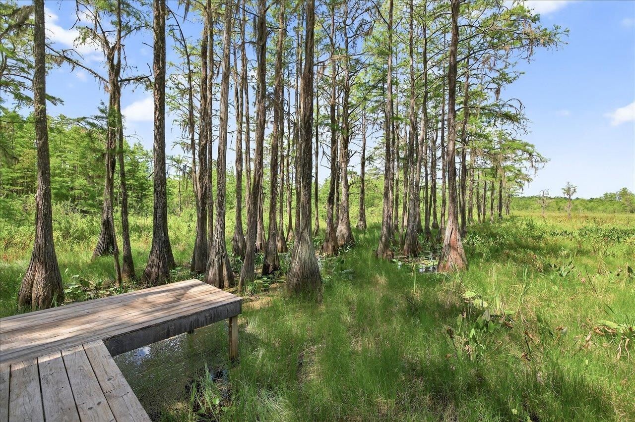 7737 Deepwood Trail, Tallahassee, FL 32317 Photo