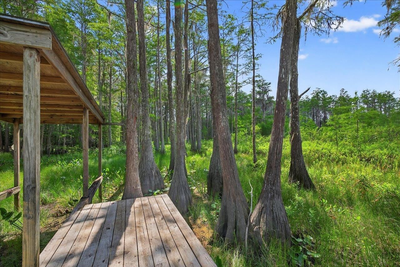 7737 Deepwood Trail, Tallahassee, FL 32317 Photo