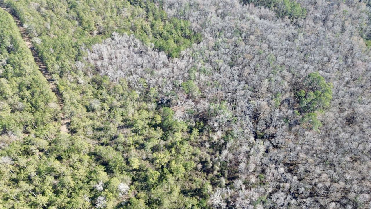 Lot 81 SW Oregon Trail , Greenville, FL 32331 Photo