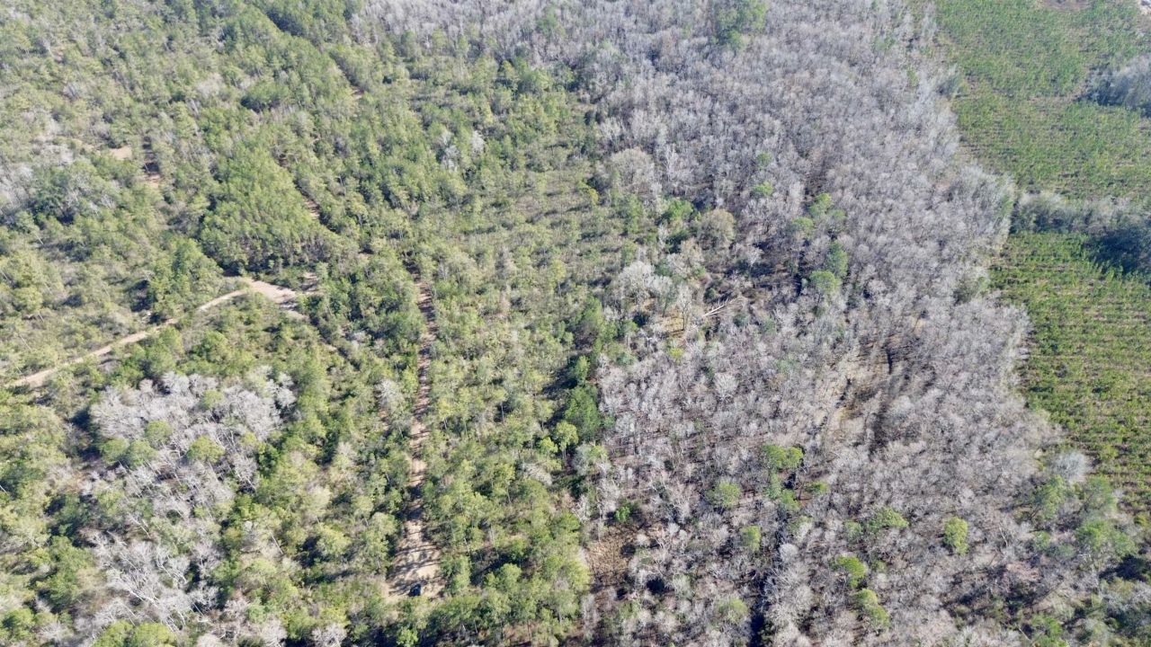 Lot 81 SW Oregon Trail , Greenville, FL 32331 Photo