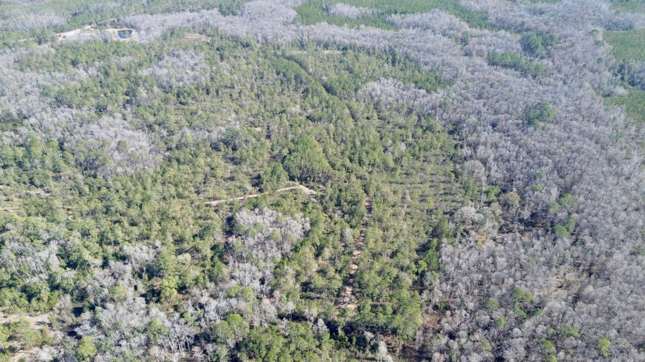 Lot 81 SW Oregon Trail , Greenville, FL 32331 Photo