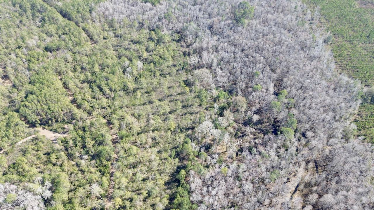 Lot 81 SW Oregon Trail , Greenville, FL 32331 Photo