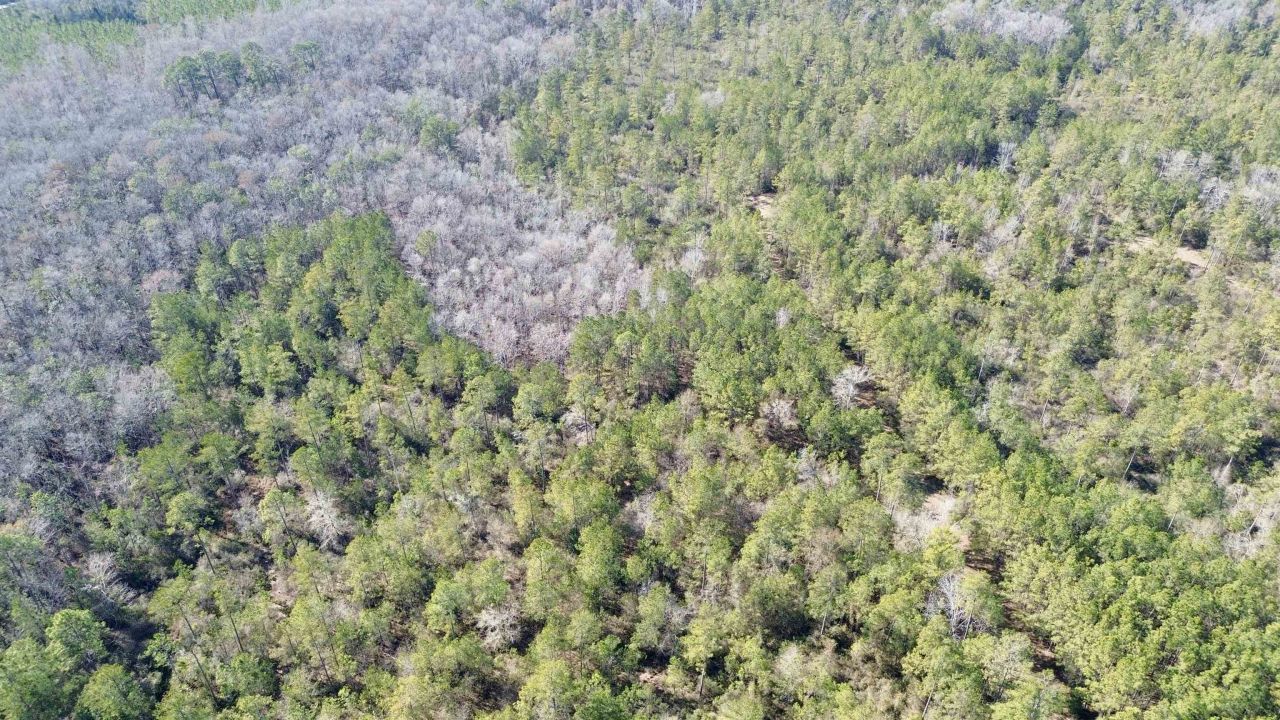 Lot 81 SW Oregon Trail , Greenville, FL 32331 Photo