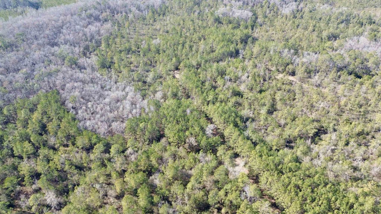 Lot 81 SW Oregon Trail , Greenville, FL 32331 Photo