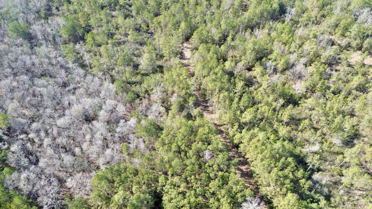 Lot 81 SW Oregon Trail , Greenville, FL 32331 Photo