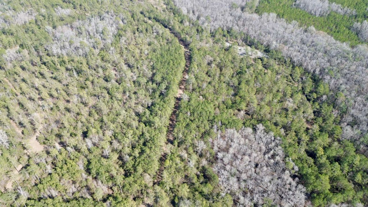 Lot 81 SW Oregon Trail , Greenville, FL 32331 Photo