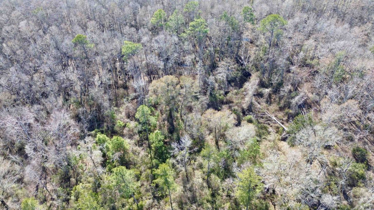 Lot 81 SW Oregon Trail , Greenville, FL 32331 Photo