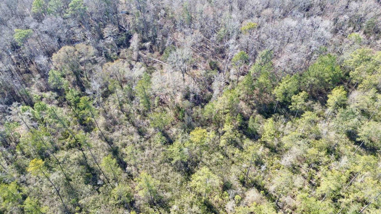 Lot 81 SW Oregon Trail , Greenville, FL 32331 Photo