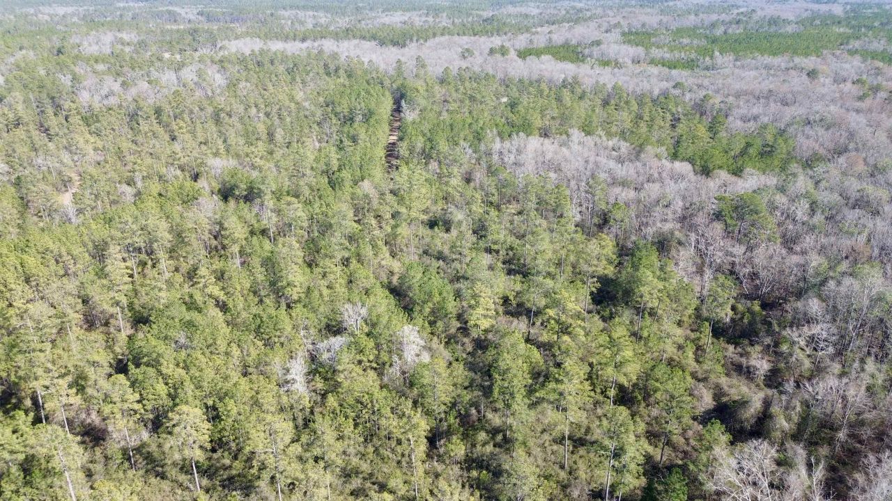 Lot 81 SW Oregon Trail , Greenville, FL 32331 Photo