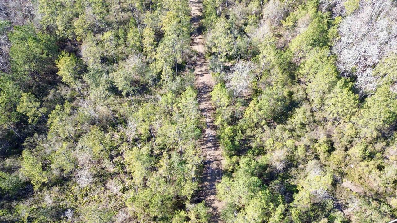 Lot 81 SW Oregon Trail , Greenville, FL 32331 Photo