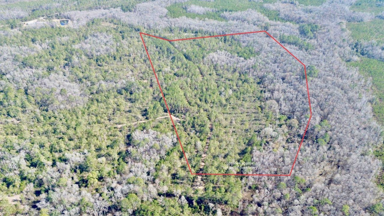 Lot 81 SW Oregon Trail , Greenville, FL 32331 Photo