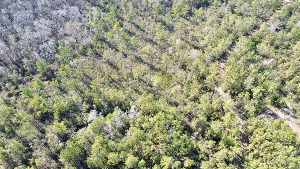 Lot 81 SW Oregon Trail , Greenville, FL 32331 Photo