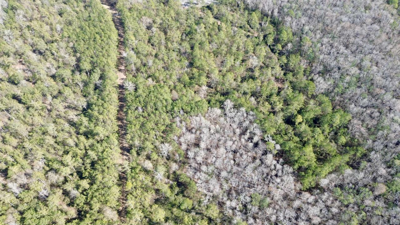 Lot 81 SW Oregon Trail , Greenville, FL 32331 Photo