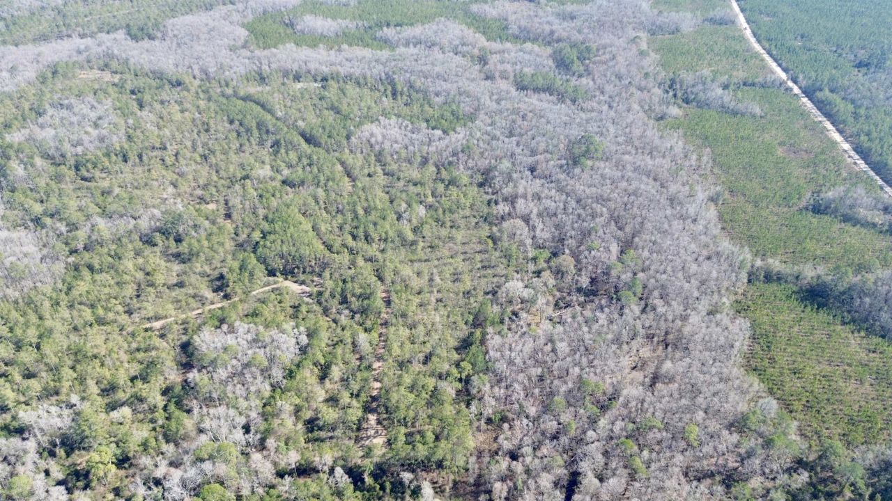 Lot 81 SW Oregon Trail , Greenville, FL 32331 Photo