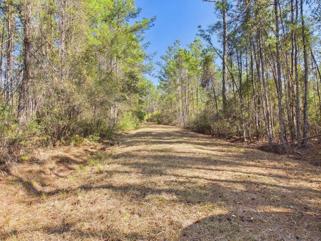 Lot 81 SW Oregon Trail , Greenville, FL 32331 Photo