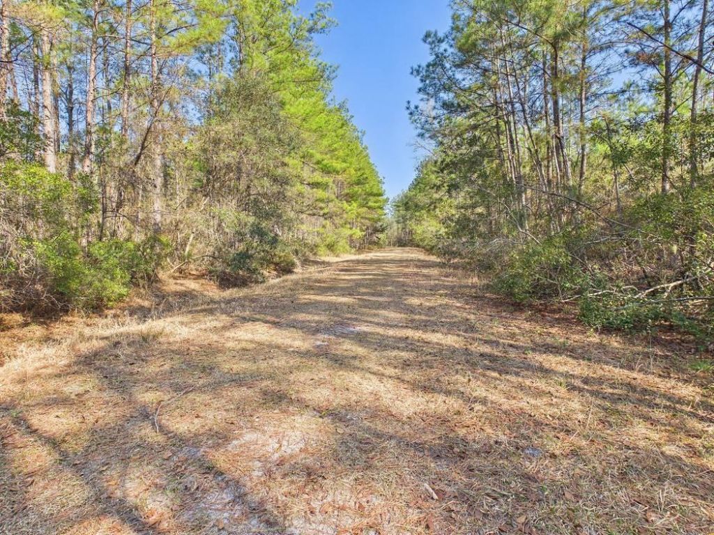 Lot 81 SW Oregon Trail , Greenville, FL 32331 Photo