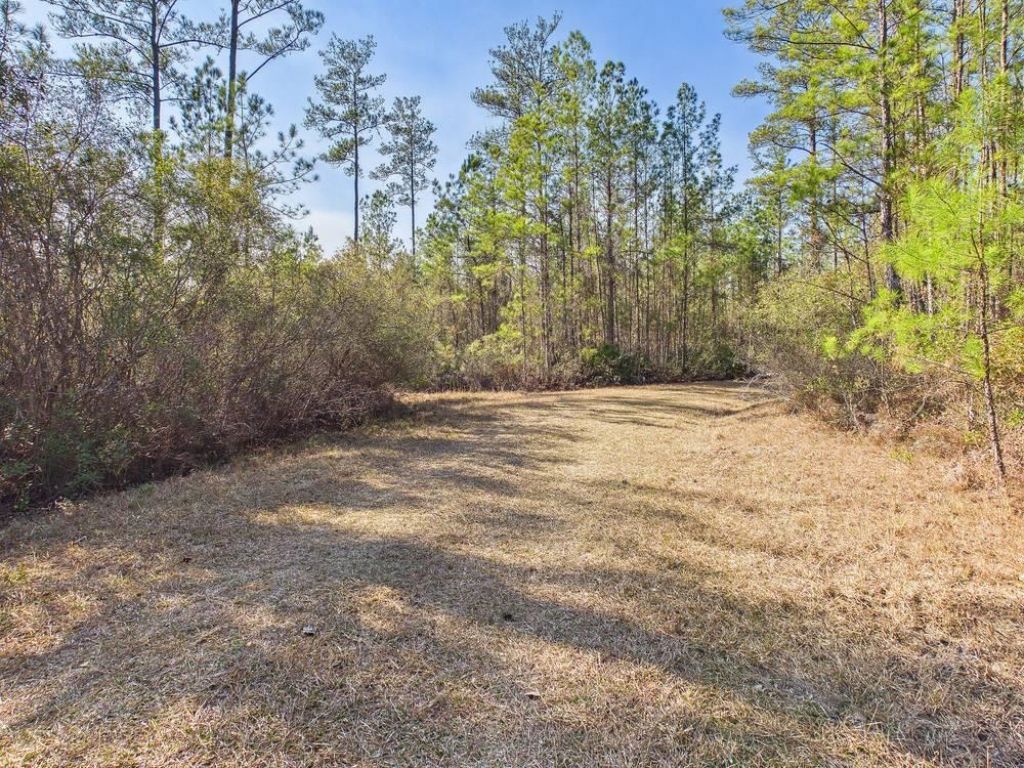 Lot 81 SW Oregon Trail , Greenville, FL 32331 Photo
