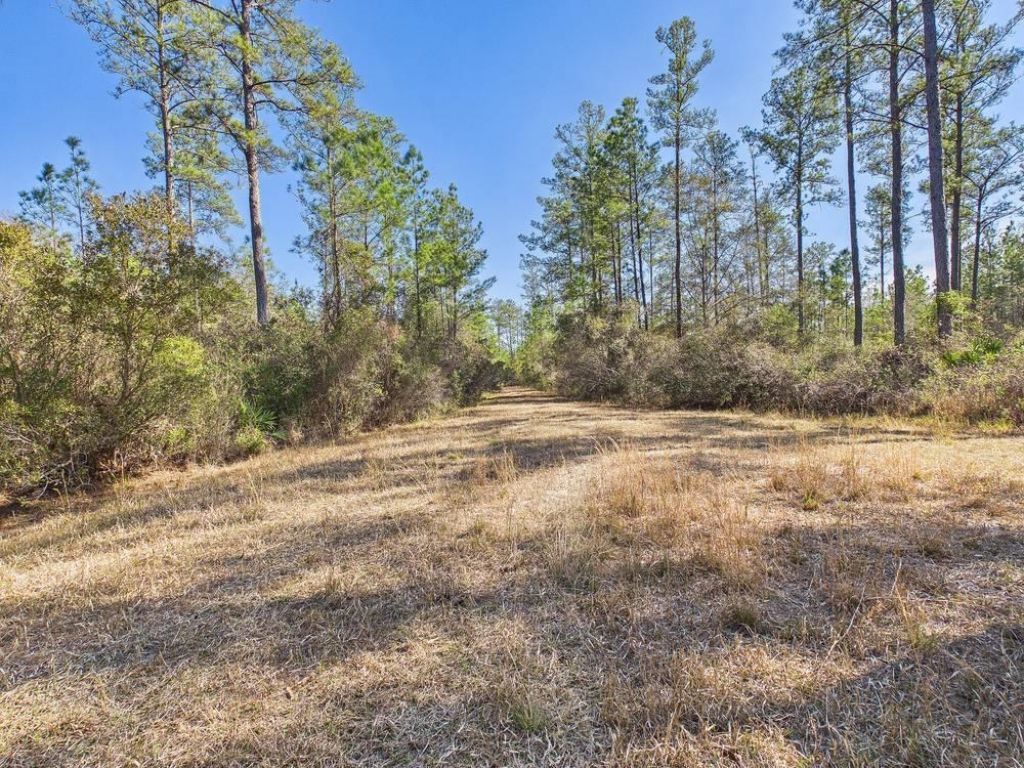 Lot 81 SW Oregon Trail , Greenville, FL 32331 Photo